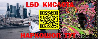 mdpv Краснознаменск